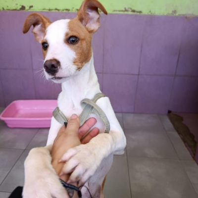 PHOTO-2026-02-28-13-22-40 7