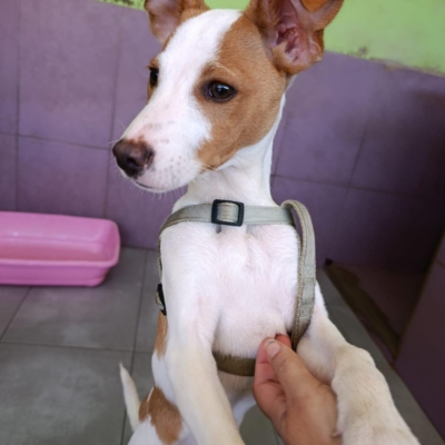 PHOTO-2026-02-28-13-22-40 8