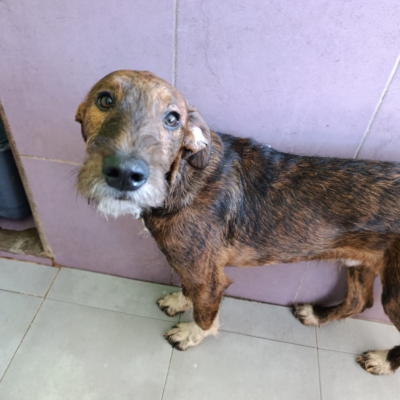 PHOTO-2026-02-28-13-28-39 10