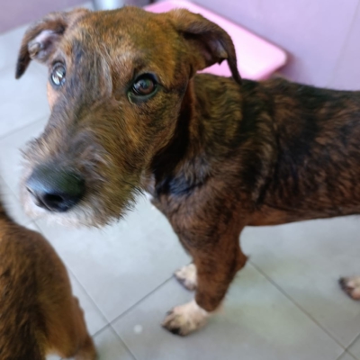 PHOTO-2026-02-28-13-28-39 11