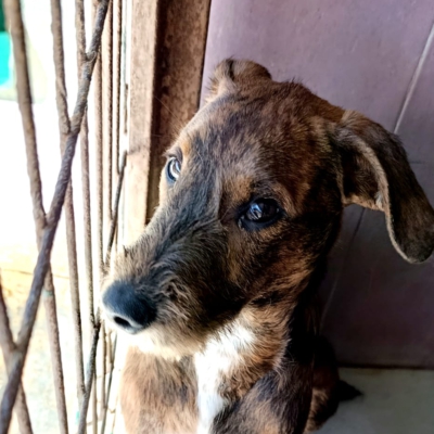 PHOTO-2026-02-28-13-28-39 2