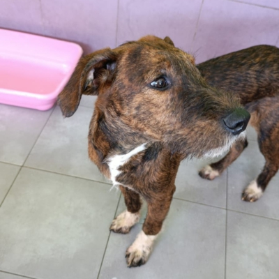 PHOTO-2026-02-28-13-28-39 3