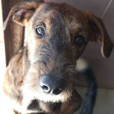 PHOTO-2026-02-28-13-28-39 4