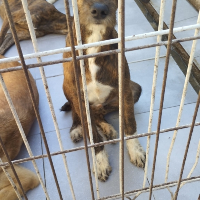 PHOTO-2026-02-28-13-28-39