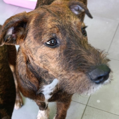 PHOTO-2026-02-28-13-28-39 5