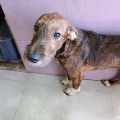 PHOTO-2026-02-28-13-28-39 6