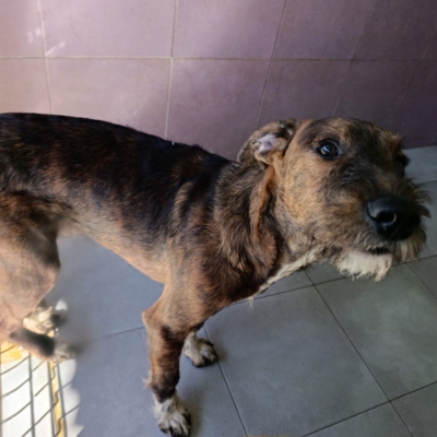 PHOTO-2026-02-28-13-28-39 8