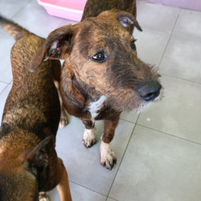 PHOTO-2026-02-28-13-28-39 9