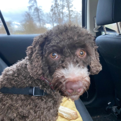 PHOTO-2026-02-28-17-44-43