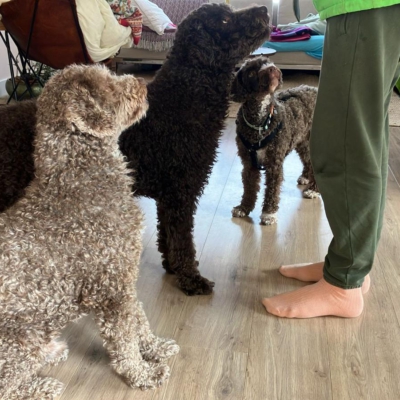 PHOTO-2026-03-01-14-33-56