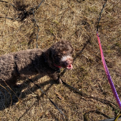 PHOTO-2026-03-02-19-37-42