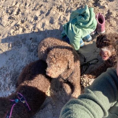 PHOTO-2026-03-02-19-37-50 2