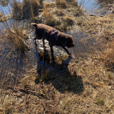 PHOTO-2026-03-02-19-37-50