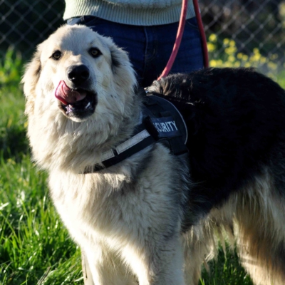 PHOTO-2026-03-03-08-12-52 2