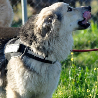 PHOTO-2026-03-03-08-12-52 3