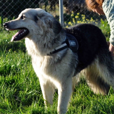 PHOTO-2026-03-03-08-12-52 4