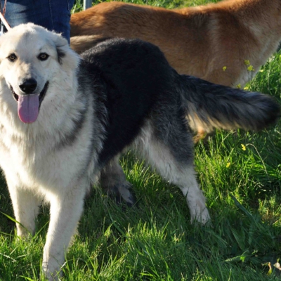 PHOTO-2026-03-03-08-12-52