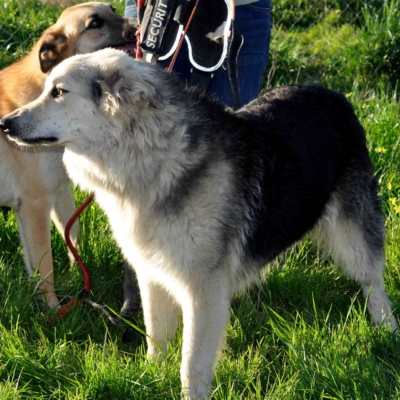 PHOTO-2026-03-03-08-12-53 2