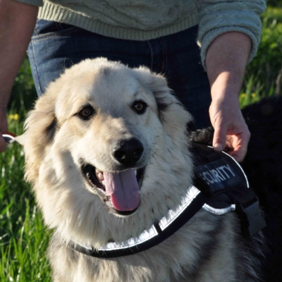 PHOTO-2026-03-03-08-12-53