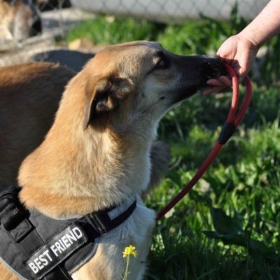 PHOTO-2026-03-03-08-13-48 2