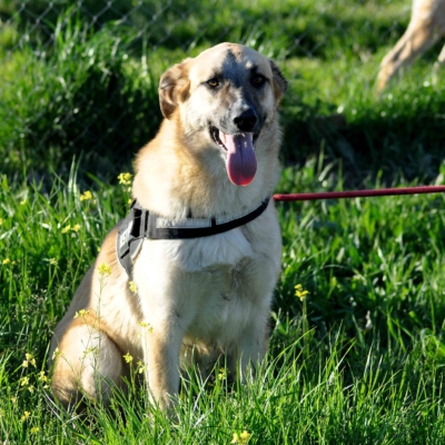 PHOTO-2026-03-03-08-13-48 3