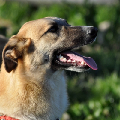 PHOTO-2026-03-03-08-13-48 4