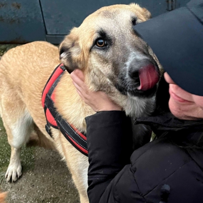 PHOTO-2026-03-03-08-13-48