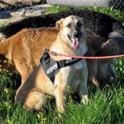 PHOTO-2026-03-03-08-13-48 5