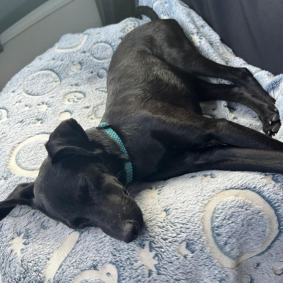 PHOTO-2026-03-07-08-52-45 2