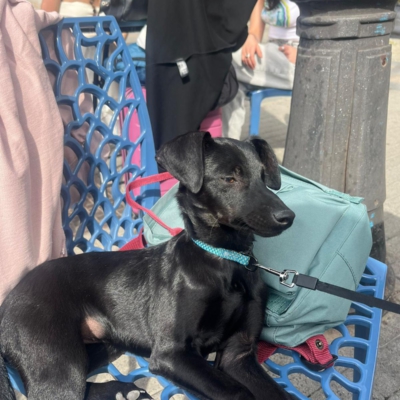 PHOTO-2026-03-07-08-52-45 3