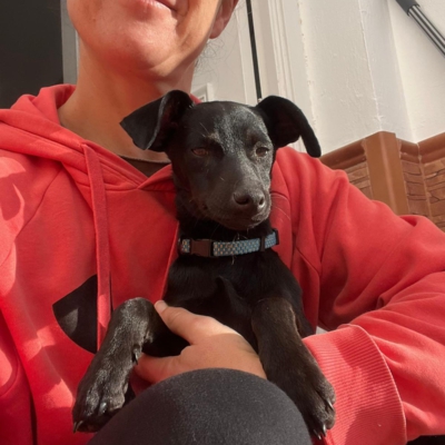 PHOTO-2026-03-07-08-52-45 4