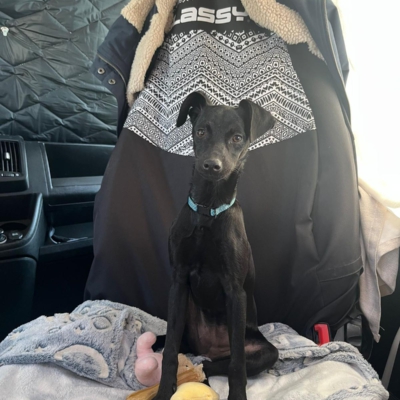 PHOTO-2026-03-07-08-52-45