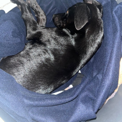 PHOTO-2026-03-07-08-52-45 5