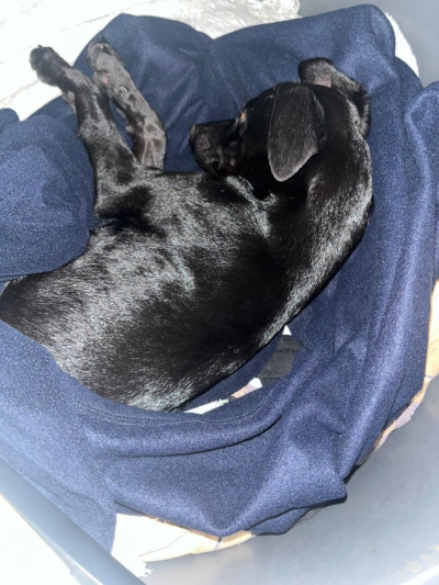 PHOTO-2026-03-07-08-52-45 5 PHOTO-2026-03-07-08-52-45 5