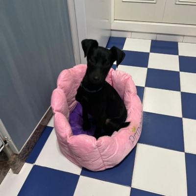 PHOTO-2026-03-07-08-52-45 7