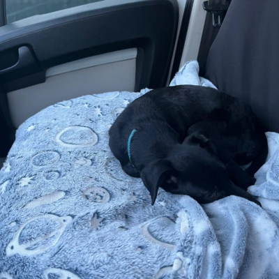 PHOTO-2026-03-07-08-52-45 8