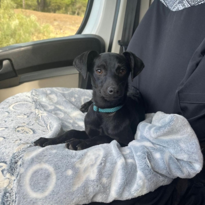 PHOTO-2026-03-07-08-52-45 9