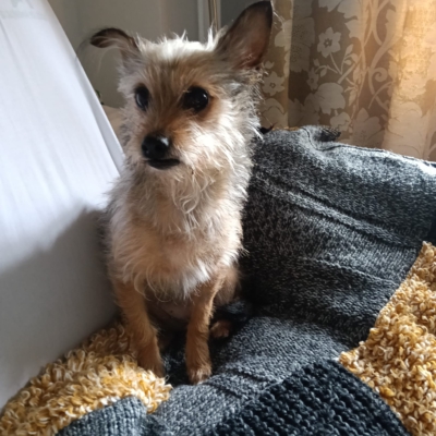 PHOTO-2026-03-07-22-29-27