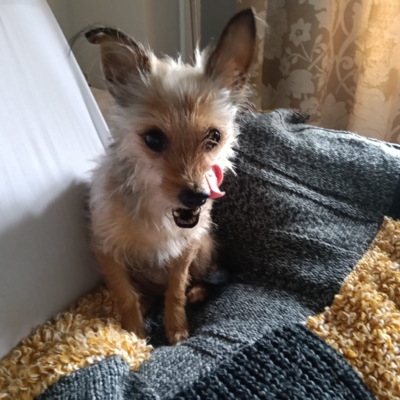 PHOTO-2026-03-07-22-29-28 2