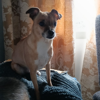 PHOTO-2026-03-07-22-29-28 4