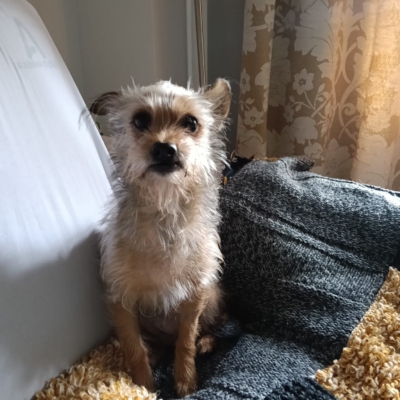 PHOTO-2026-03-07-22-29-28