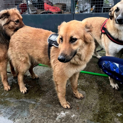 PHOTO-2026-03-11-18-30-00 2