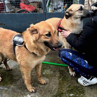 PHOTO-2026-03-11-18-30-00 3