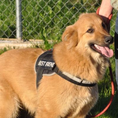 PHOTO-2026-03-11-18-30-00