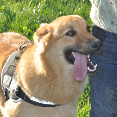 PHOTO-2026-03-11-18-30-01 2