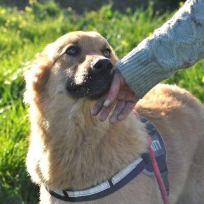 PHOTO-2026-03-11-18-30-01 3