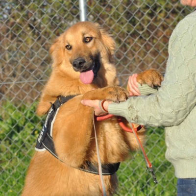 PHOTO-2026-03-11-18-30-01