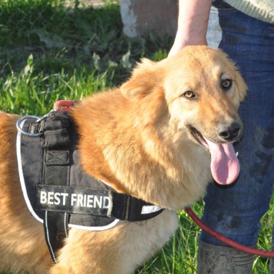 PHOTO-2026-03-11-18-30-02