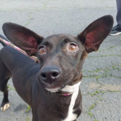 PHOTO-2026-03-15-13-09-09 2