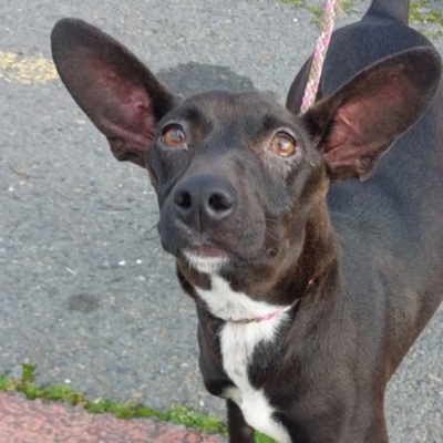 PHOTO-2026-03-15-13-09-09 3